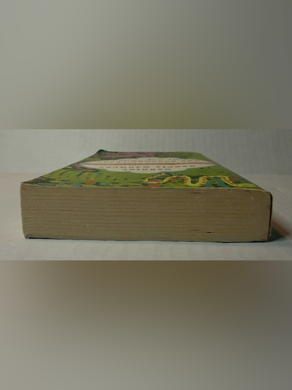 One Hundred Years of Solitude Paperback Book by Gabriel Garcia Marquez - Picture 4 of 11